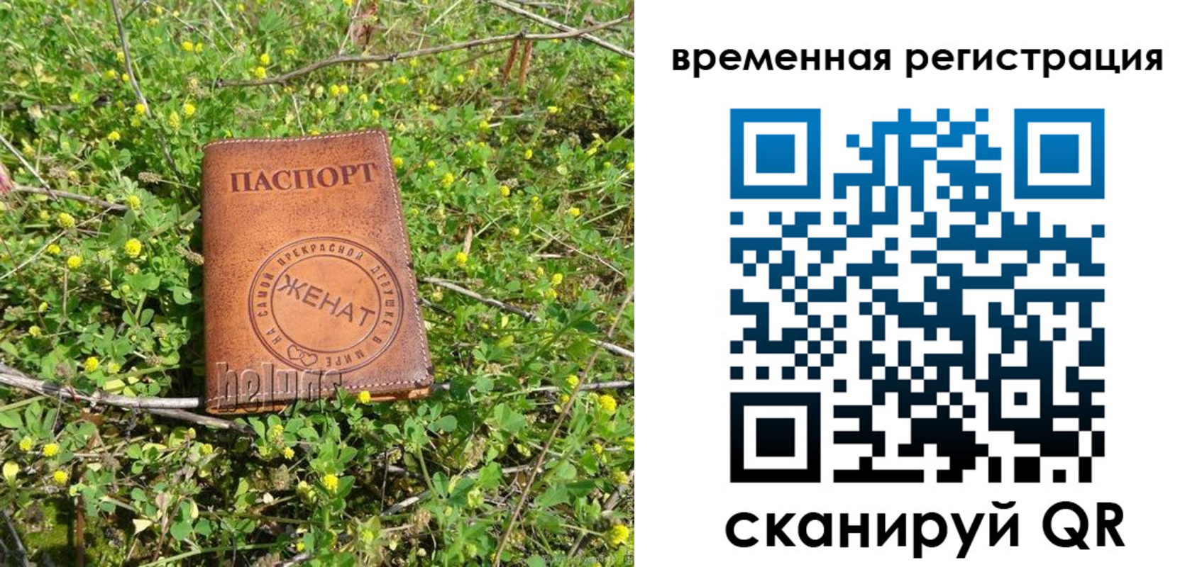 прописка регистрация в Ивановской области